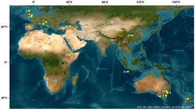 Application of microbial membrane tetraether lipids in speleothems